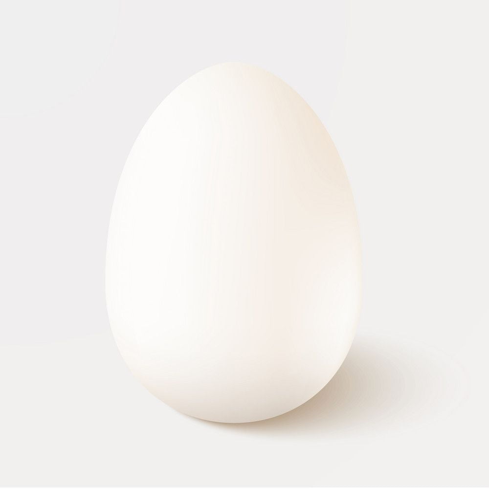 One White Egg